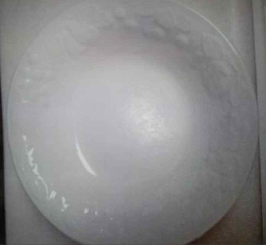POH11 Dinner Plate by Potter & Smith-1