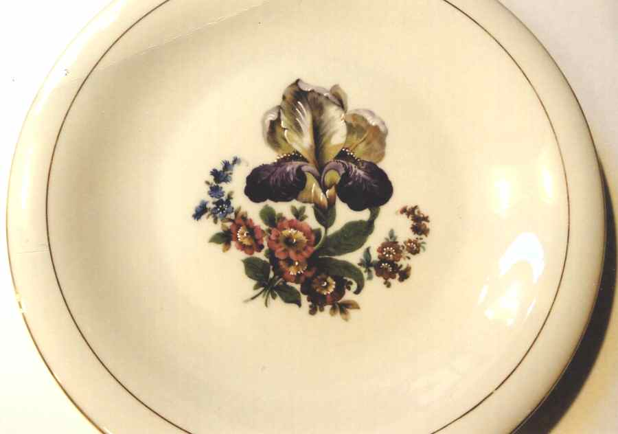 PIR207 Dinner Plate by Pirkenhammer-1