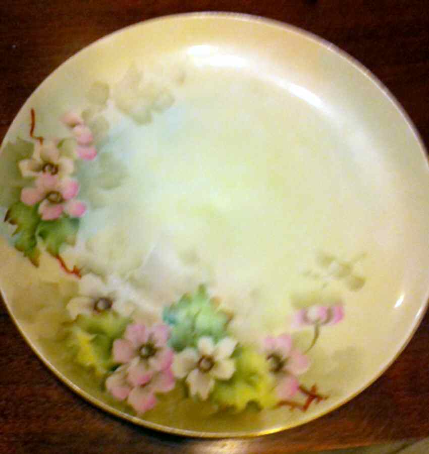 PIR209 Salad Plate by Pirkenhammer-1