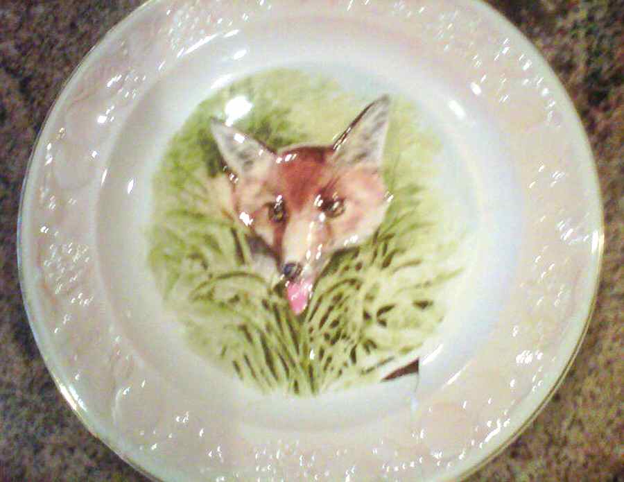 PAL18 Luncheon Plate by Palissy-1