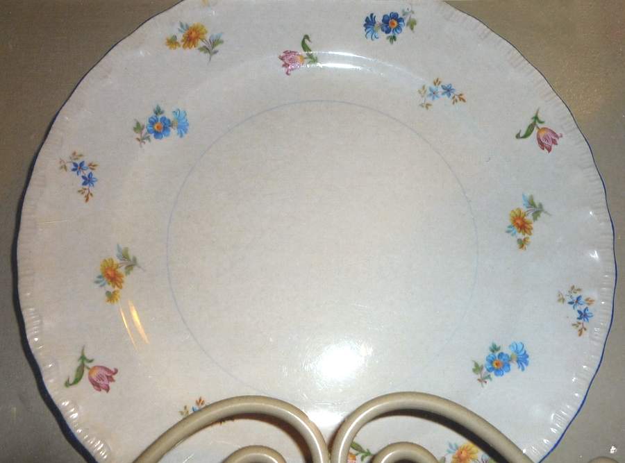 POP318 Dinner Plate by Pope Gosser-1
