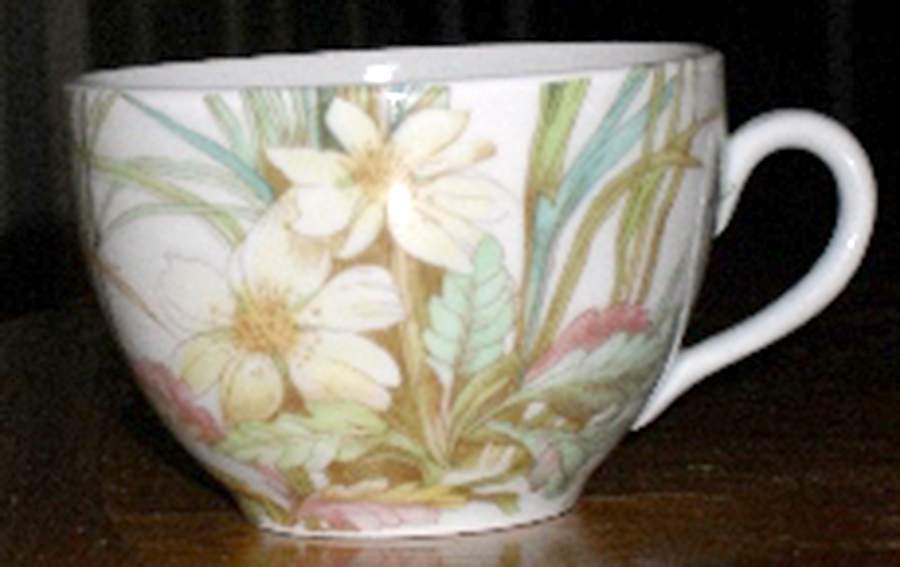Virginie Flat Cup by Pillivuyt-1