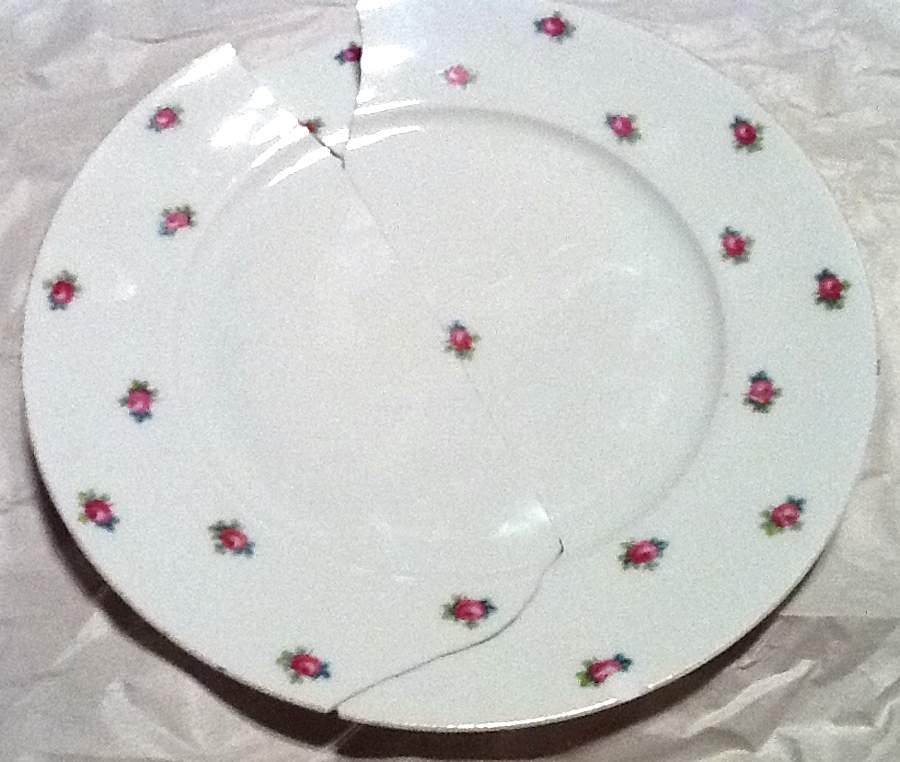 PUN146 Dinner Plate by Porcelain Union-1