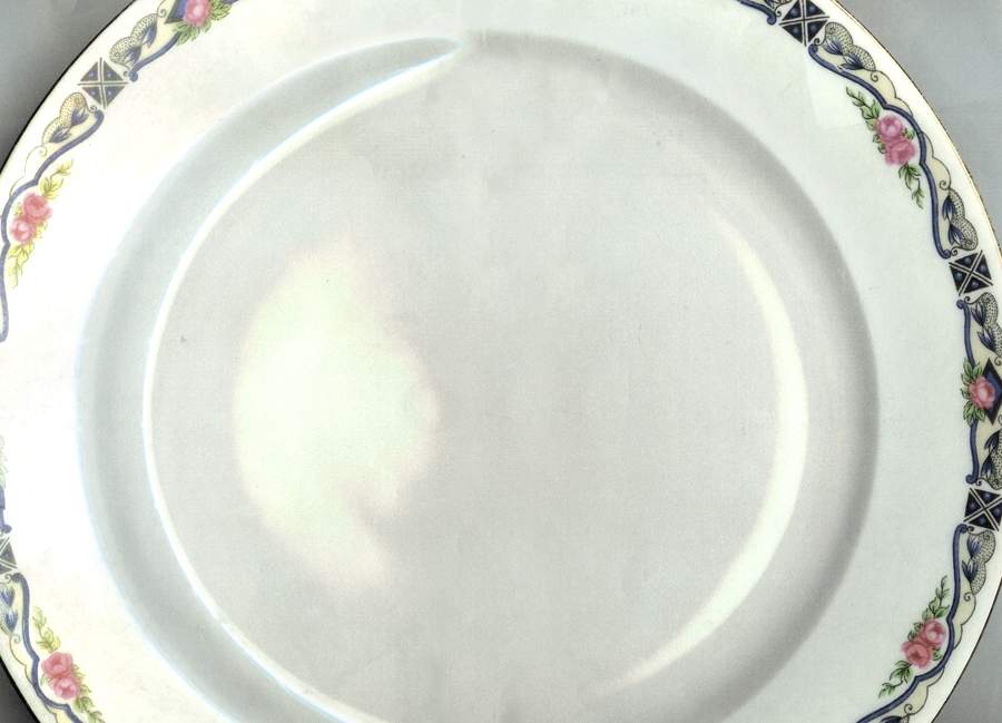 PL88 Dinner Plate by Porcelaine Limousine-1