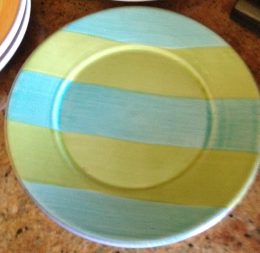 PBA65 Dinner Plate by Pottery Barn China-1