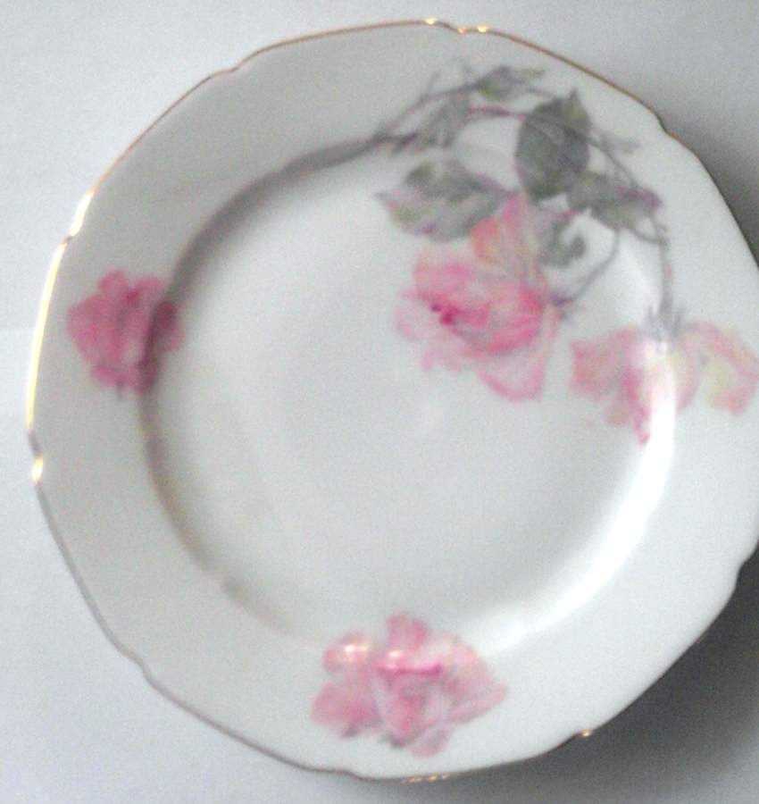 PUN147 Dinner Plate by Porcelain Union-1