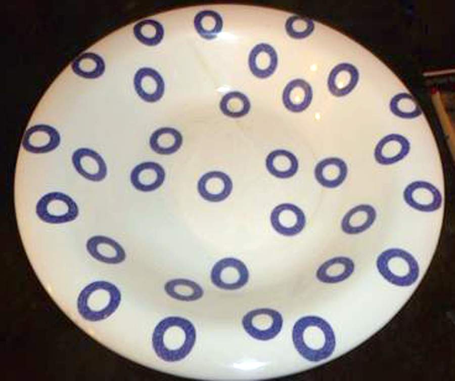 PER156 Dinner Plate by Pier 1-1