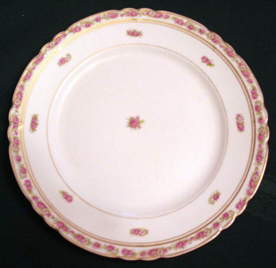 POP321 Dinner Plate by Pope Gosser-1