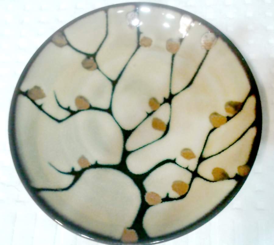 PER158 Dinner Plate by Pier 1-1