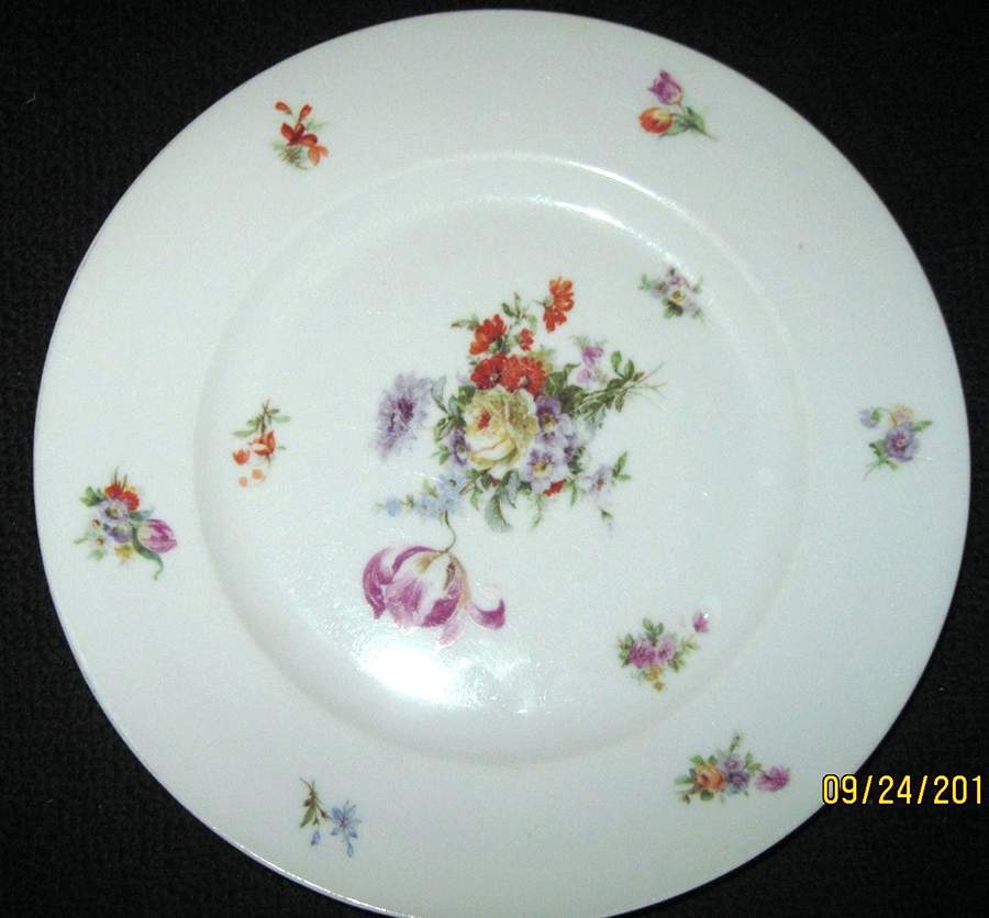 PIR217 Dinner Plate by Pirkenhammer-1