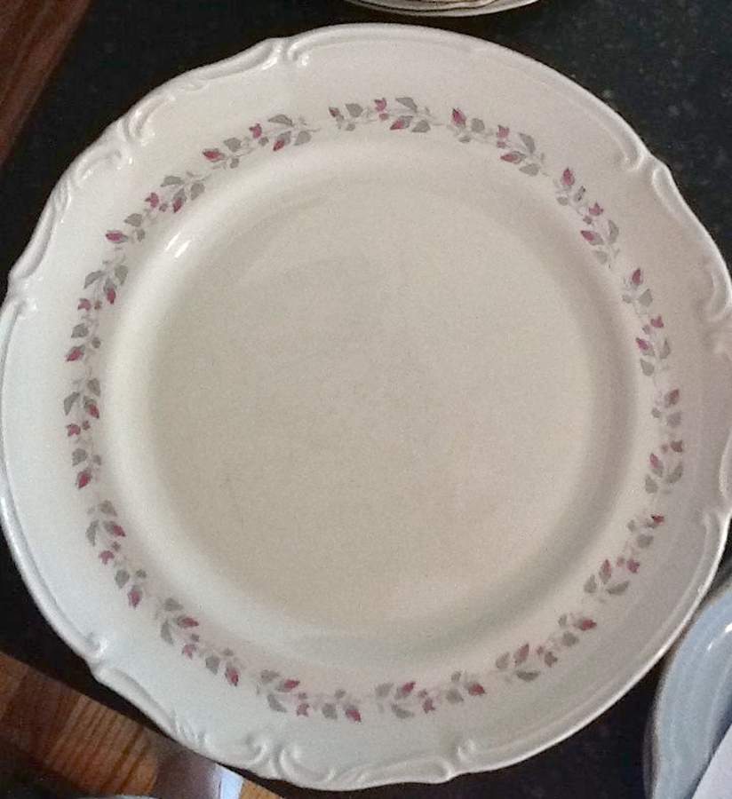 POL48 Dinner Plate by Poland-1