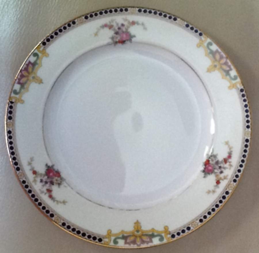 PIR220 Dinner Plate by Pirkenhammer-1