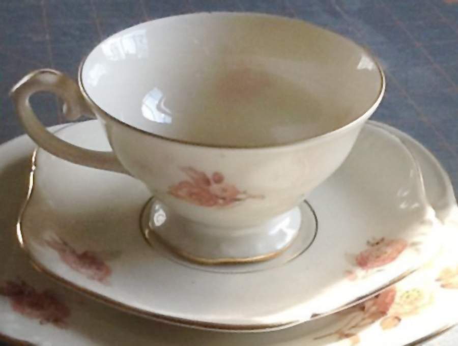 25710 Footed Cup & Saucer Set by Porsgrund-1