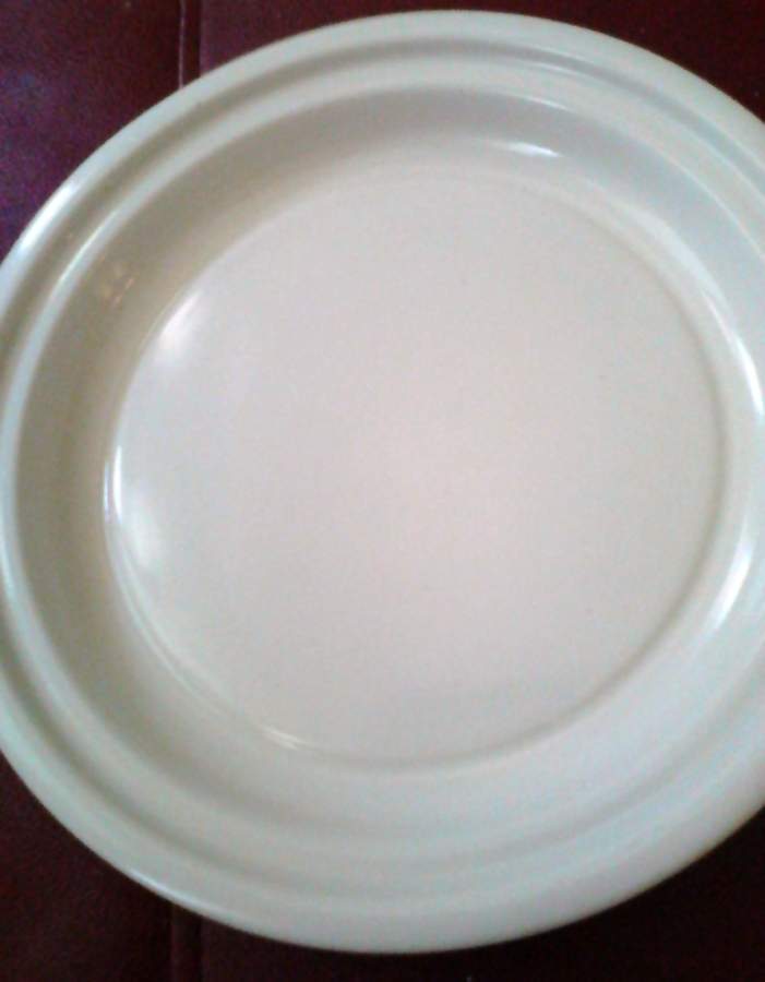 PFA96 Dinner Plate by Pfaltzgraff-1