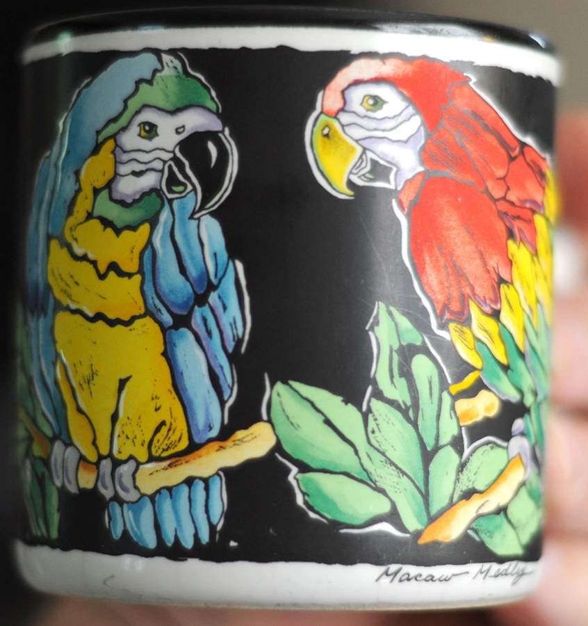 Macaw Medly Mug by Potpourri Press-1