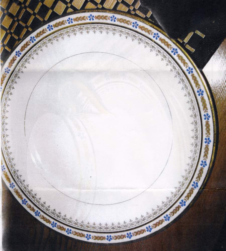 PAD46 Dinner Plate by Paroutaud-1