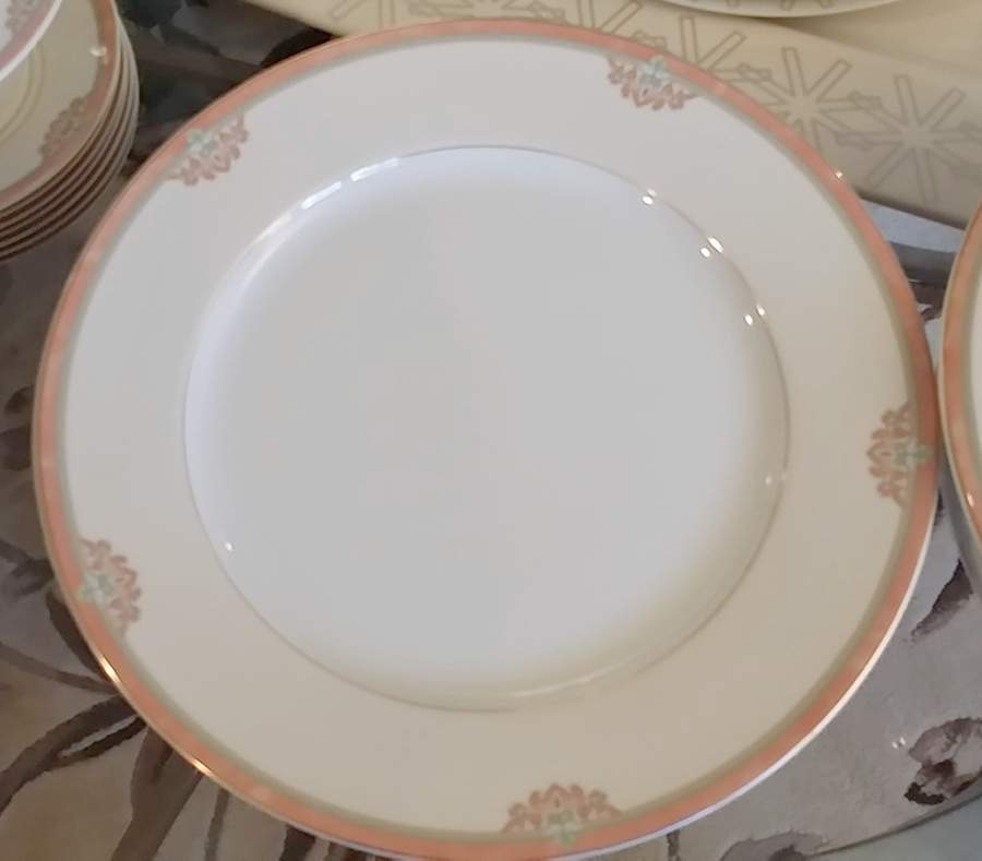 Derby Salmon Dinner Plate by Porcelaine de Limoges-1