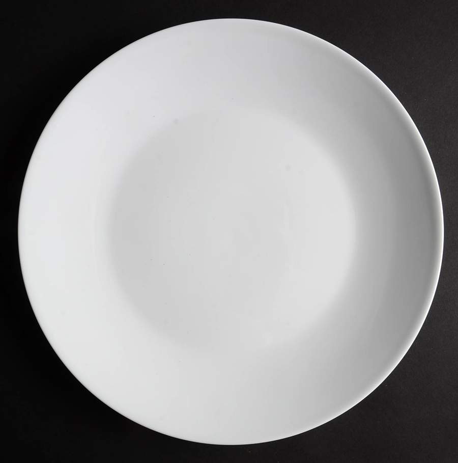 PPF2 Dinner Plate by Pampered Chef-1