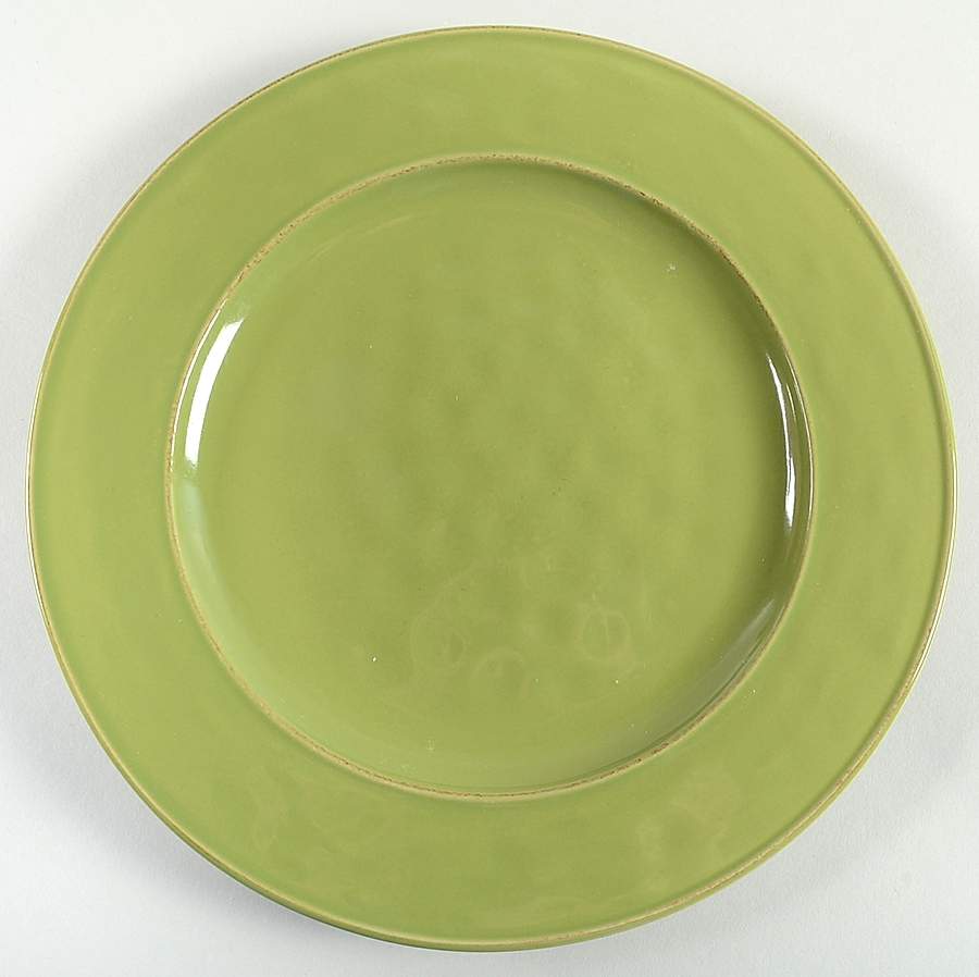 Martillo Grass Green Dinner Plate by Pier 1-1