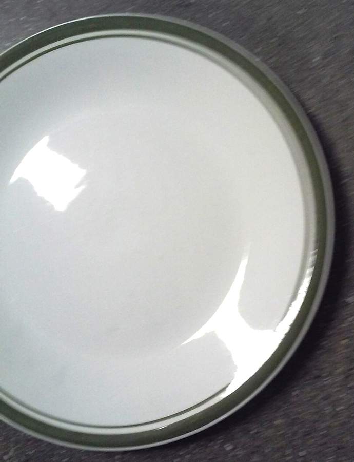 Palmetto Dinner Plate by Premiere-1