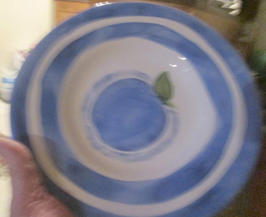 Sausalito Fruit 10" Soup/Pasta Bowl by Pottery Barn China-1