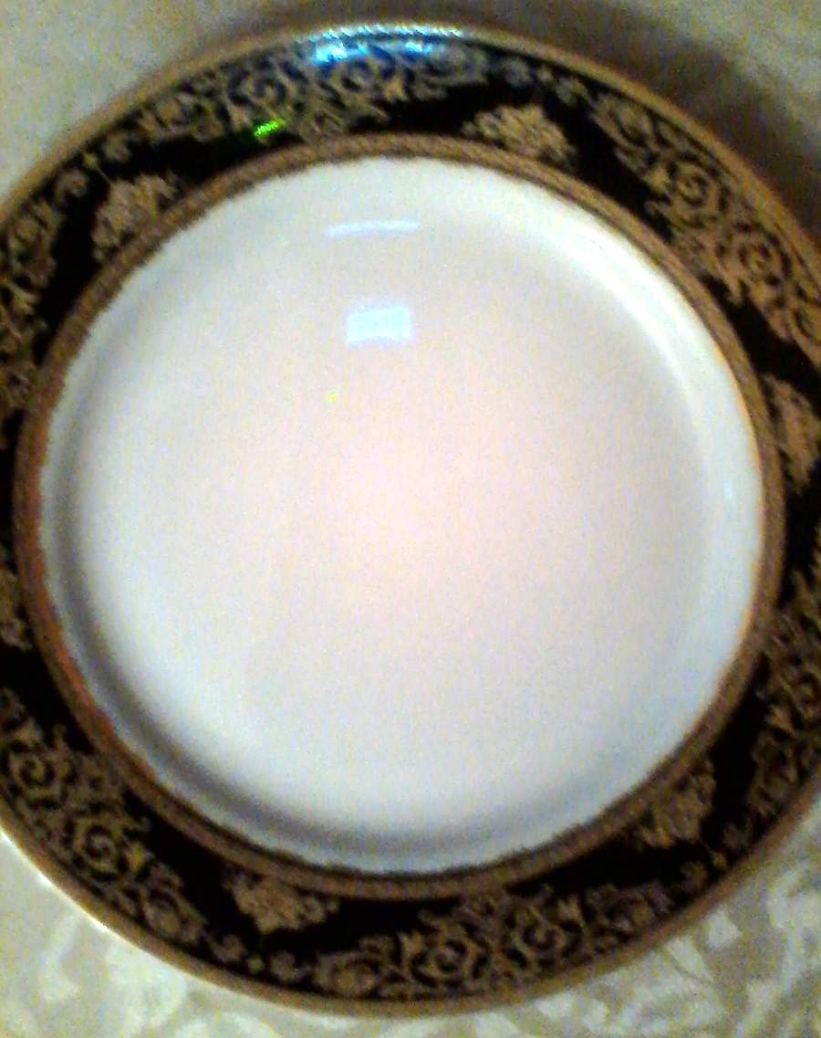 PGE16 Dinner Plate by Pegasus-1