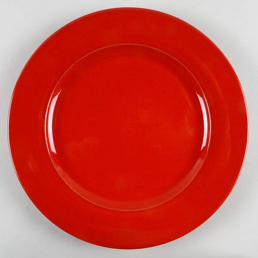 PER170 Dinner Plate by Pier 1-1