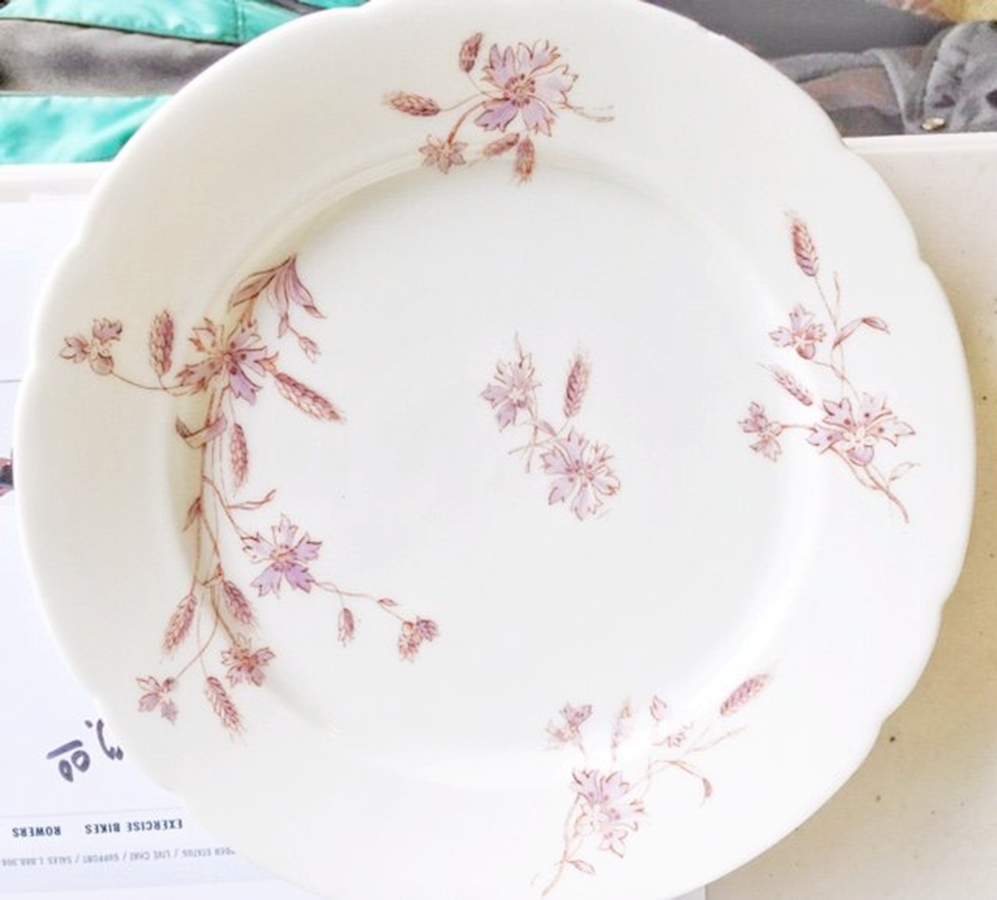 8721 Dinner Plate by P H Leonard-1