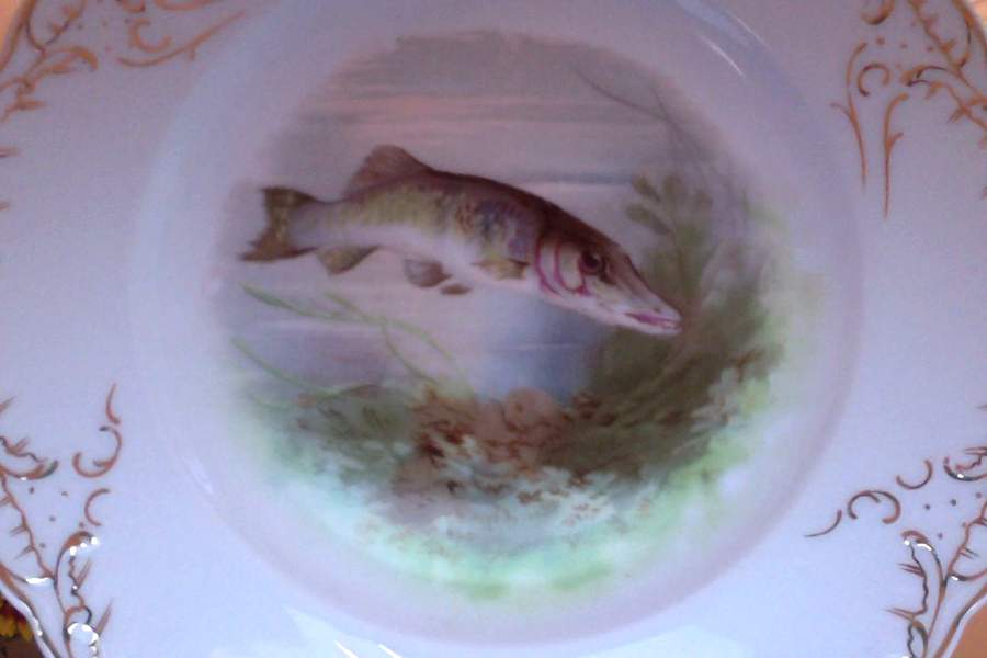 PIR232 Luncheon Plate by Pirkenhammer-1