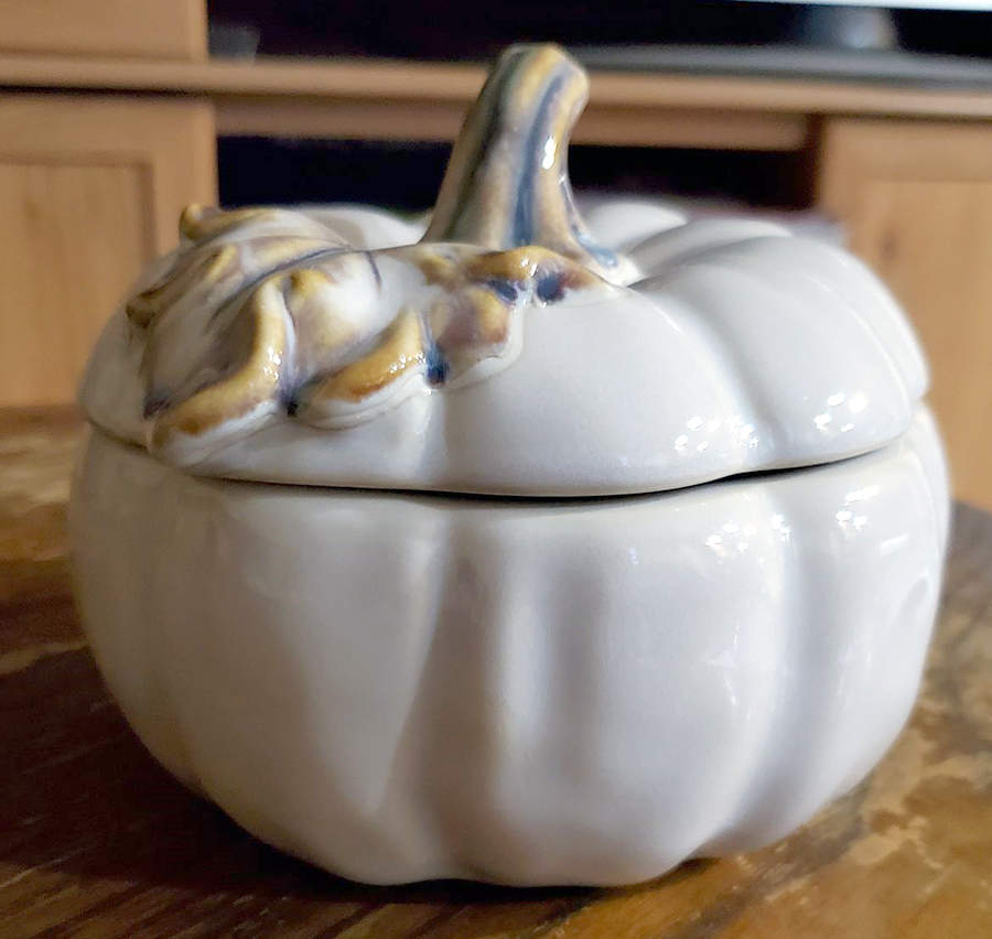 White Pumpkin Individual Bowl & Lid by Pier 1-1