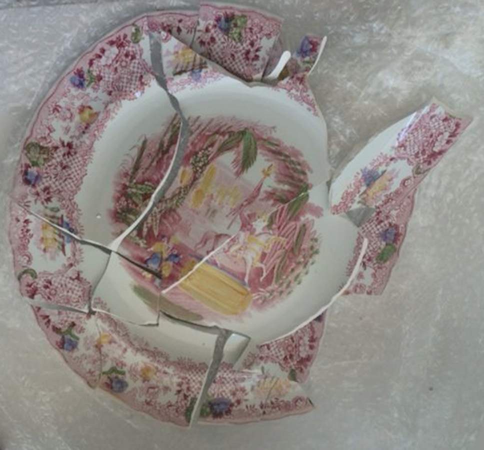 Miller-Pink Multicolor Dinner Plate by Petrus Regout & Co-1