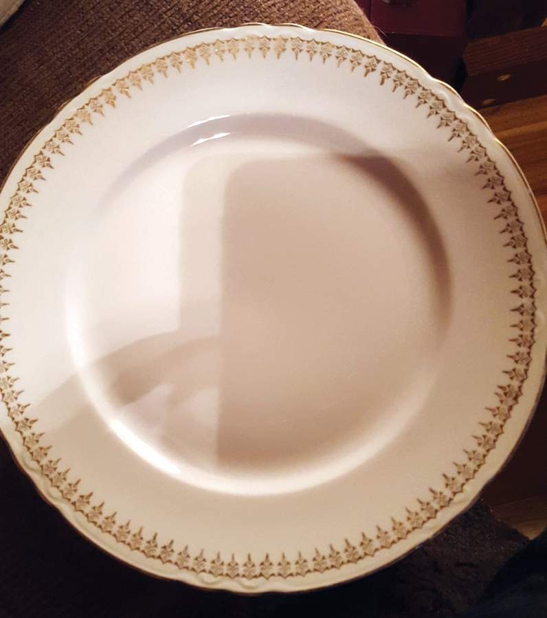 POP452 Dinner Plate by Pope Gosser-1