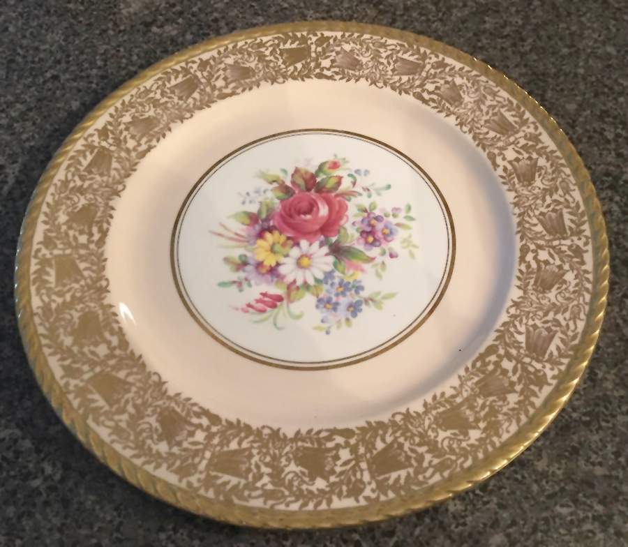 Z677 Dinner Plate by Paragon-1