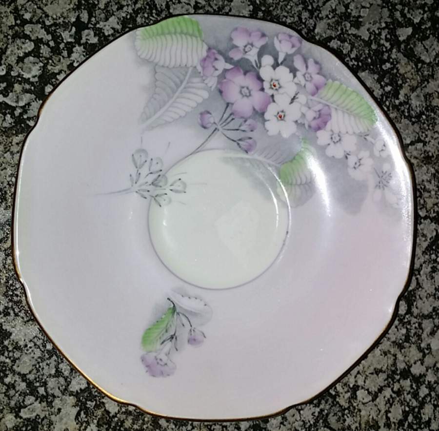 Primula Saucer by Paragon-1