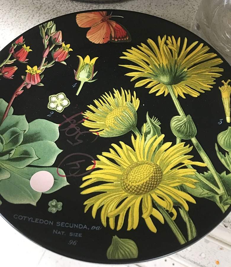 Poppy Botanical Salad Plate by Pottery Barn China-1