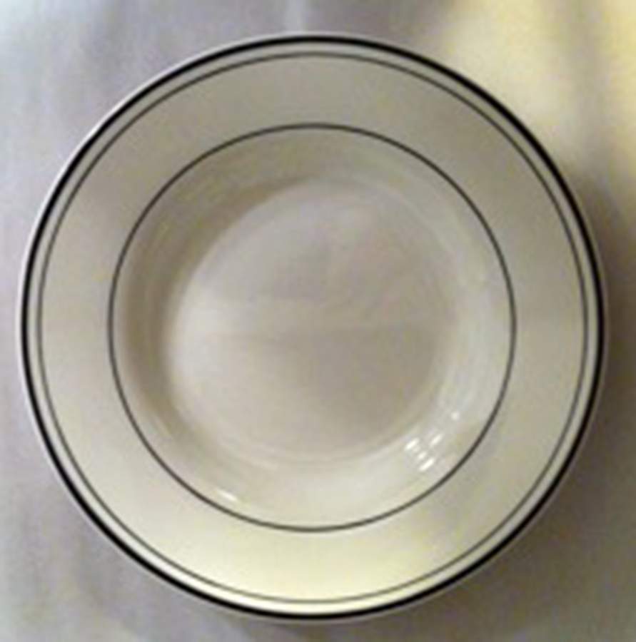 PBA80 Dinner Plate by Pottery Barn China-1