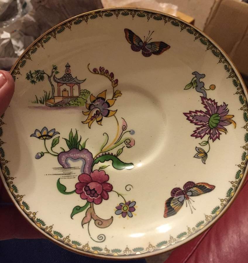 6148 Saucer by Paragon-1