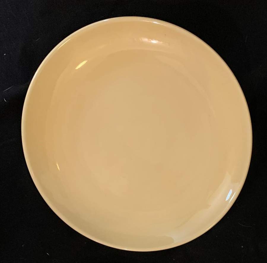 Colorful Serve Coupe Salad Plate by Pottery Barn China-1