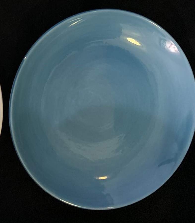 Colorful Serve Coupe Salad Plate by Pottery Barn China-1