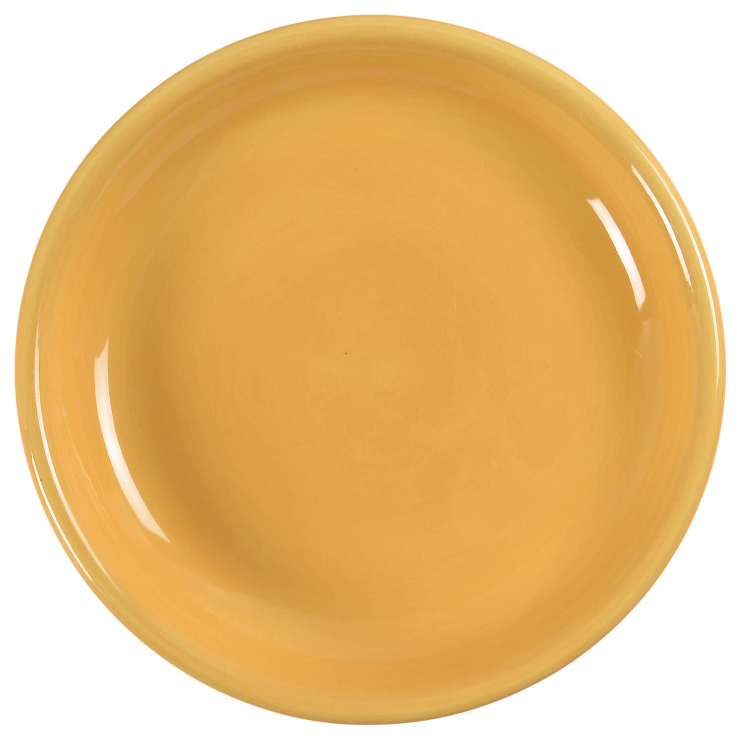 Colorful Serve 9" Individual Pasta Bowl by Pottery Barn China-1