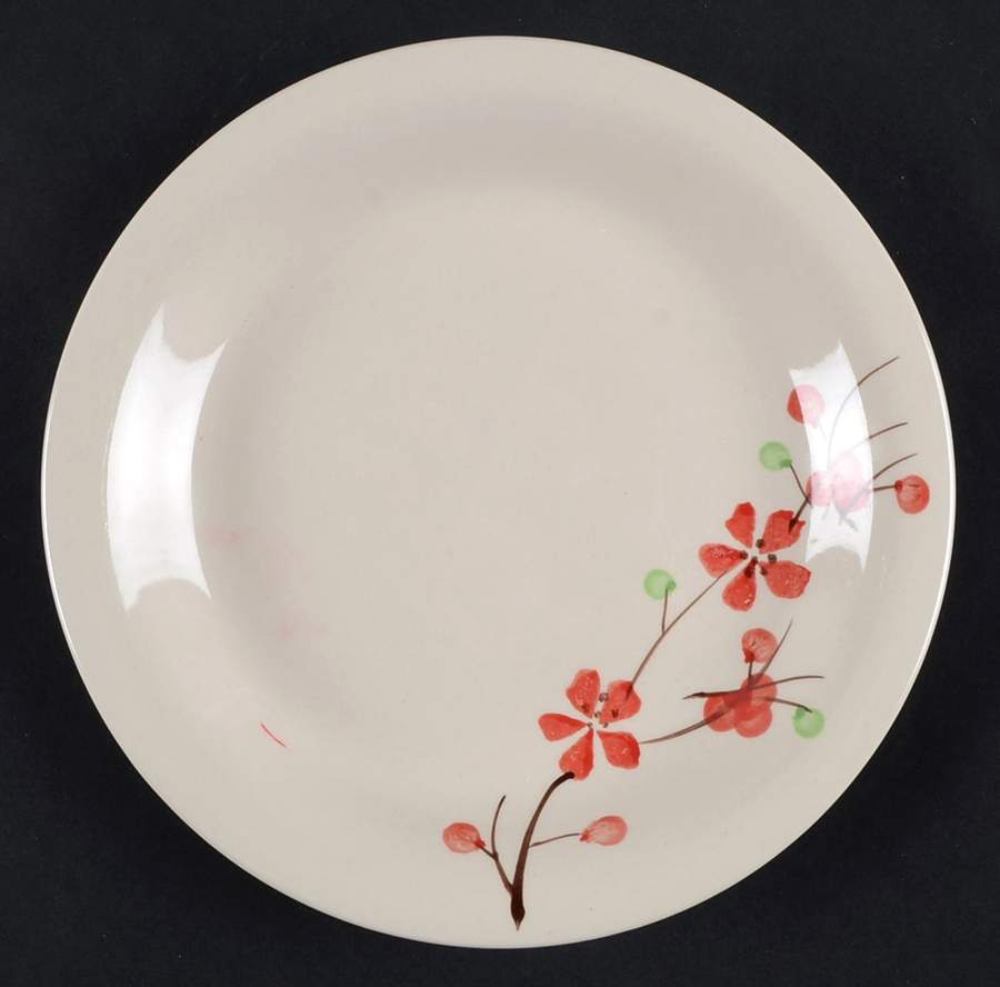 PER180 Salad Plate by Pier 1-1