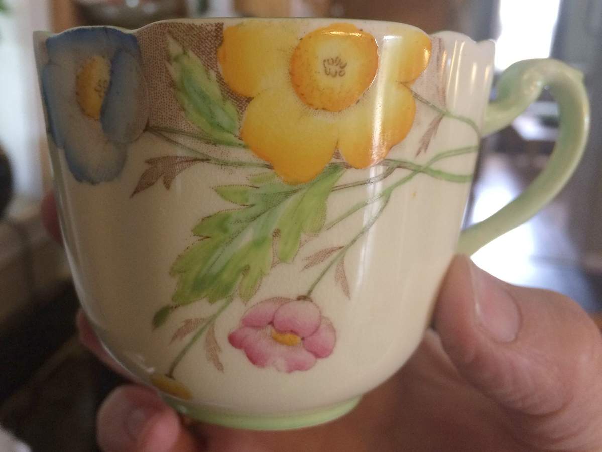 PAR250 Flat Cup by Paragon-1