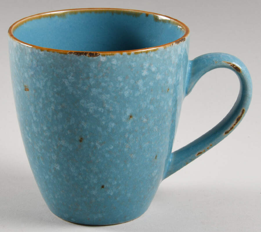 Hacienda de Vida Turquoise Mug by Pier 1-1