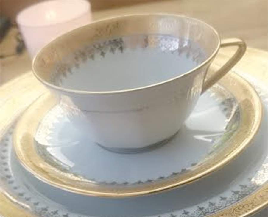 PDT15 Flat Cup & Saucer Set by Porcelaine d'Art-1