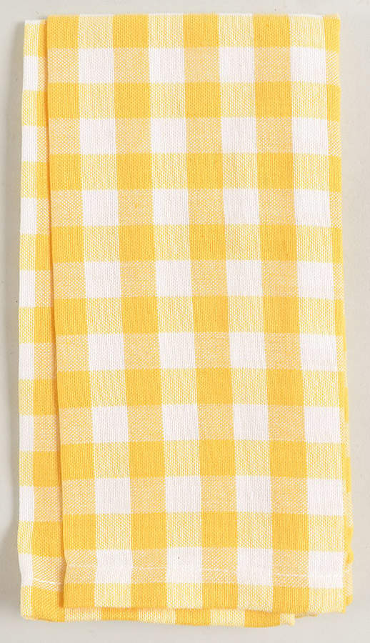 Charming Check Cloth Napkin by Pioneer Woman-1