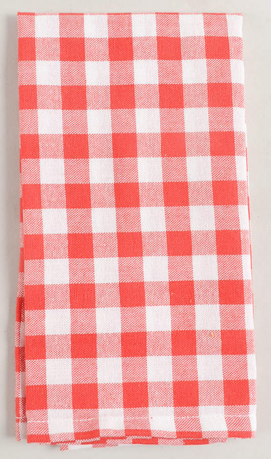 Charming Check Cloth Napkin by Pioneer Woman-1