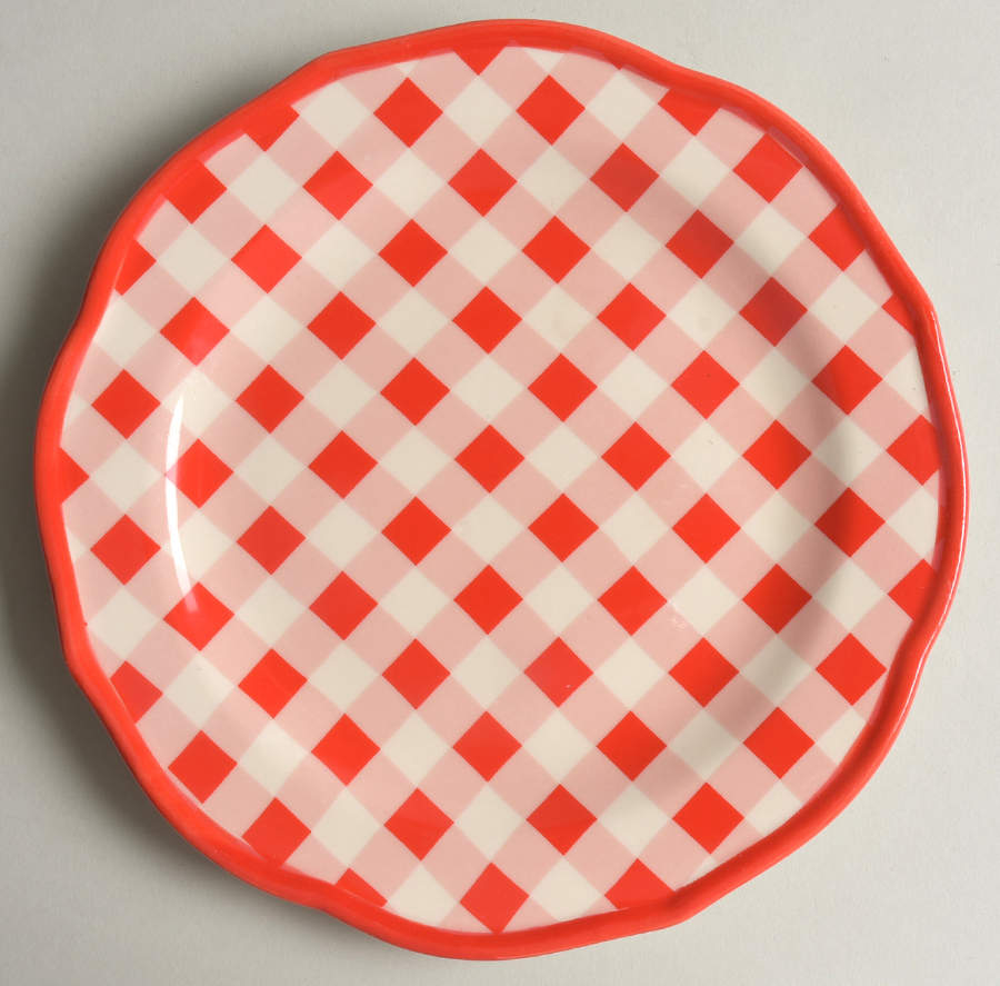 Charming Check Salad Plate by Pioneer Woman-1