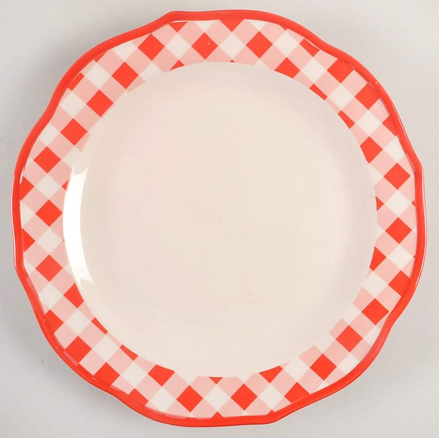 Charming Check Dinner Plate by Pioneer Woman-1