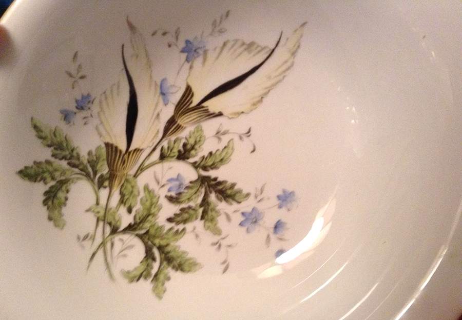 Carribean Dinner Plate by Paragon-1