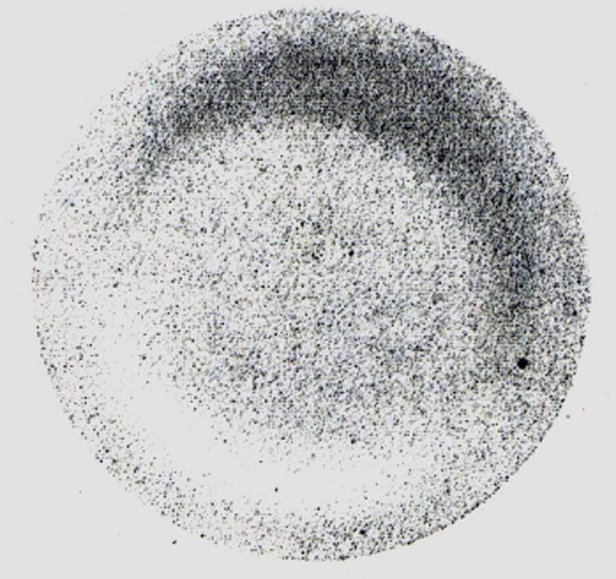 Sense Salad Plate by Porsgrund-1